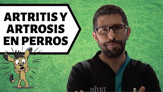 ARTRITIS y ARTROSIS EN PERROS  Terapias y tratamientos [upl. by Dirraj]