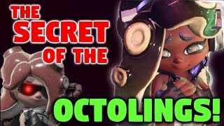 Secret of the Octolings REVEALED The Mysterious Octoling Theory [upl. by Georgi]