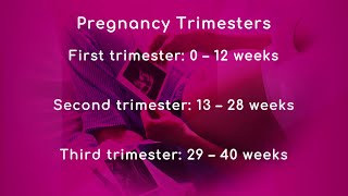 Pregnancy Trimesters [upl. by Elatsyrc]