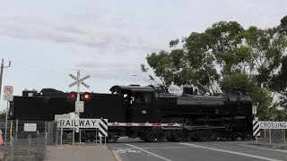 Level Crossing Bendigo VIC Australia [upl. by Bernt268]