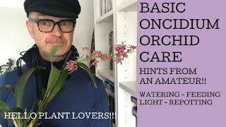 Basic Oncidium Orchid Care [upl. by Enitsyrhc962]