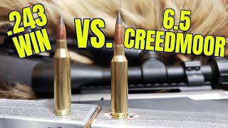 243 Winchester vs 65 Creedmoor Episode II Winchester Deer Season [upl. by Gotcher]