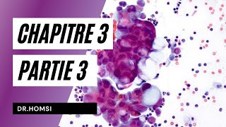 Cytologie  Chapitre 3 P3  Dr Homsi [upl. by Roma]