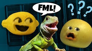 Annoying Orange  Internet Slang Challenge [upl. by Notsla]