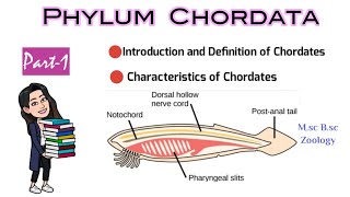 Part1 Introduction and Definition of ChordatesCharacteristics of ChordatesMsc Bsc Zoology NEET [upl. by Doran501]