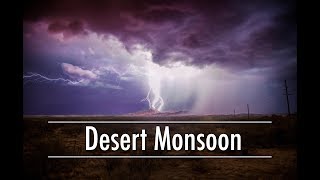 Desert Rain  Monsoons of the Sonoran Desert [upl. by Amik914]