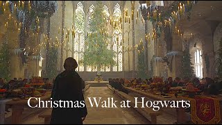 Christmas Walk At Hogwarts  Hogwarts Legacy ambience [upl. by Reddin495]