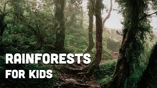 Rainforests for Kids [upl. by Byrd653]