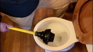 How to use a plunger correctly and use the RIGHT plunger [upl. by Granniah]