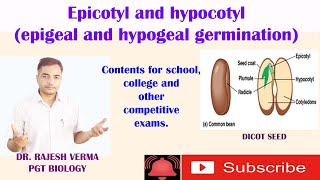 Epicotyl and hypocotyl epigeal and hypogeal germination [upl. by Alak]