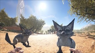 Ark Scorched Earth S1 Guide  Jerboa Storm Sounds [upl. by Ahsoik]