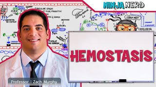 Hematology  Hemostasis Coagulation Cascade [upl. by Anires362]