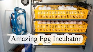 Egg Incubator Review and Operation [upl. by Eylk]