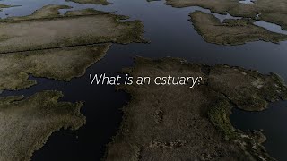 Outer Banks Ecosystems Estuaries [upl. by Edahs]