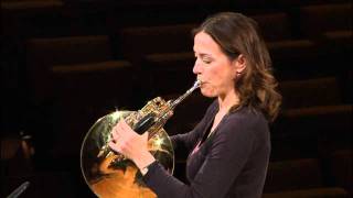 Berliner Philharmoniker Master Class  Horn [upl. by Ahseirej]