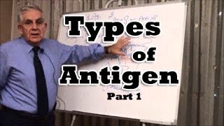 Types of Antigen  Part 1 [upl. by Acirederf54]