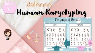 Human Karyotype ǀ Taglish [upl. by Nirel]