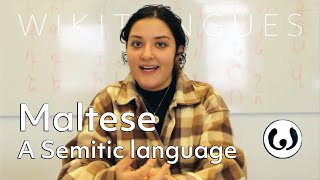 The Maltese language casually spoken  Elena speaking Maltese  Wikitongues [upl. by Adlesirc]