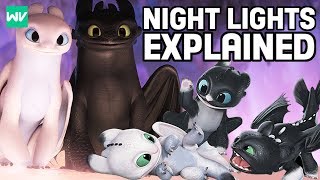 Who Are Toothless amp The Light Furys Children Night Lights  How To Train Your Dragon [upl. by Akirat]