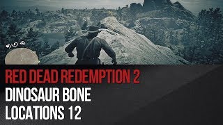 Red Dead Redemption 2  Dinosaur Bone Locations 12 [upl. by Trahurn]