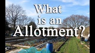 What is an allotment Growing food in the UK [upl. by Eimmij]