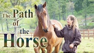 The Path of the Horse  Full Length documentary [upl. by Moureaux437]