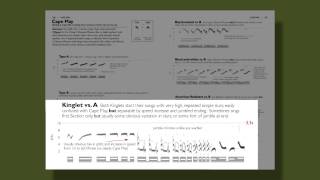 The Warbler Guide  Vocalizations [upl. by Rosario]