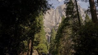 California 101 Yosemite National Park [upl. by Gnivre]