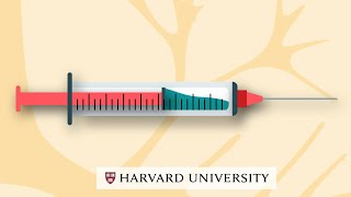 How mRNA vaccines work [upl. by Lyrahs]