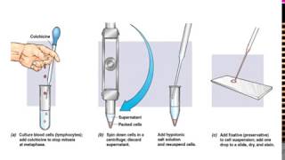 What is Karyotyping [upl. by Atinor]