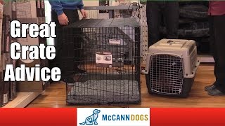 How To Choose A Crate For Your Dog [upl. by Dewain]