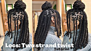 Locs Two Strand Twists Tutorial and Style Idea [upl. by Leksehcey141]