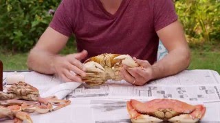 How to Eat a Crab [upl. by Hatti]