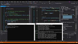 C gRPC Client amp Server Application in Net Core  Visual Studio 2019 [upl. by Hsihsa]