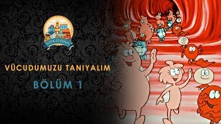 Vücudumuzu Tanıyalım  Türkçe Dublaj  Bölüm 1 [upl. by Isnan]