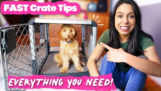 FASTEST Crate Training amp Why you NEED this Dog Crate 🐶 [upl. by Ainevul]