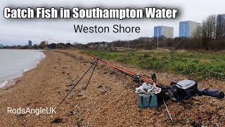 Catch fish in Southampton Water WESTON SHORE [upl. by Safoelc]