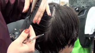 HAIRCUTTING Layer haircut with scissors [upl. by Ahsineb]