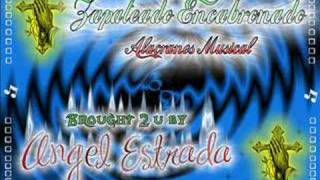 Zapateado EncabronadoAlacranes Musical [upl. by Atiral]