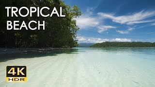 4K HDR Tropical Beach  Gentle Ocean Wave Sounds  Peaceful Wild Island  Relaxing Nature Video [upl. by Yanehs847]