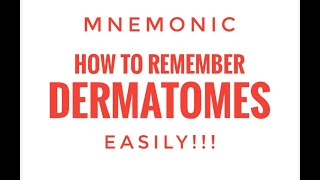 How to remember Dermatomes easily [upl. by Eirovi641]