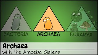 Archaea [upl. by Ecile563]