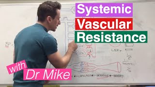 Systemic Vascular Resistance Total Peripheral Resistance  Cardiology [upl. by Ayel]