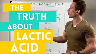 The Truth about Lactic Acid [upl. by Gerta46]