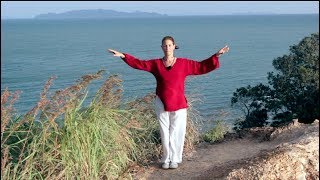 13 principles of movement  Tai Chi for Beginners [upl. by Adeys]