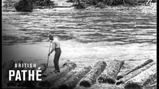 Logging In Idaho  USA 1926 [upl. by Ezarra]