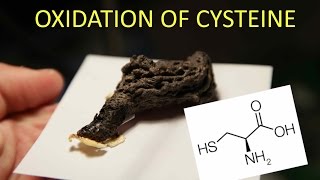 Oxidation of the Amino Acid LCysteine [upl. by Akinehc470]