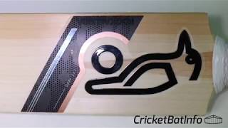 RARE Custom Kookaburra Cricket Bat Made in Australia Review [upl. by Koehler589]