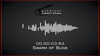 Large Swarm of Insects  HQ Sound Effect [upl. by Aihcats]