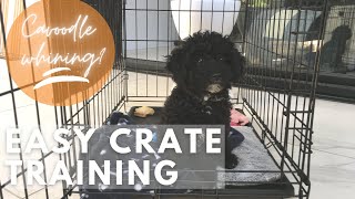 How to crate train a puppy at night whining  Cavapoo cavoodle puppy training [upl. by Alleciram774]